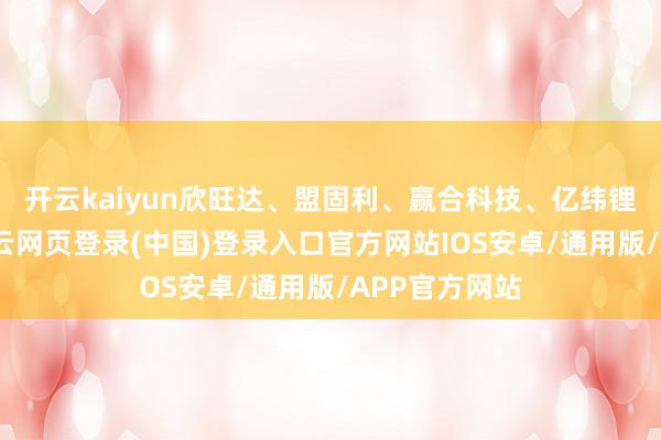 开云kaiyun欣旺达、盟固利、赢合科技、亿纬锂能等跟涨-开云网页登录(中国)登录入口官方网站IOS安卓/通用版/APP官方网站